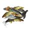 Fish-meat-agg