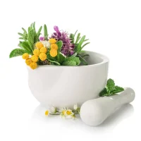 Herbs
