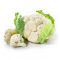 Vegetables-1