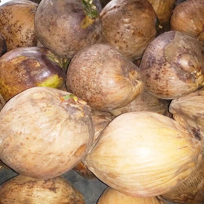 শুকনা নারিকেল