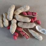 Red Skin Peanuts