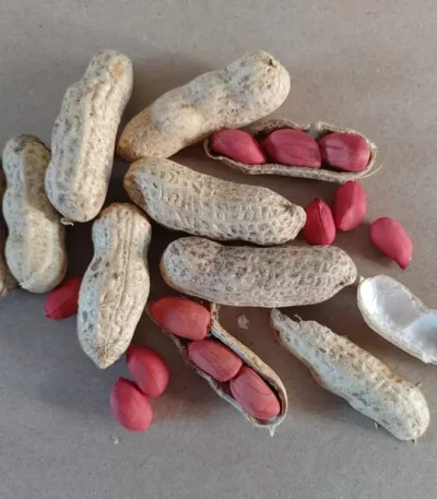 Red Skin Peanuts