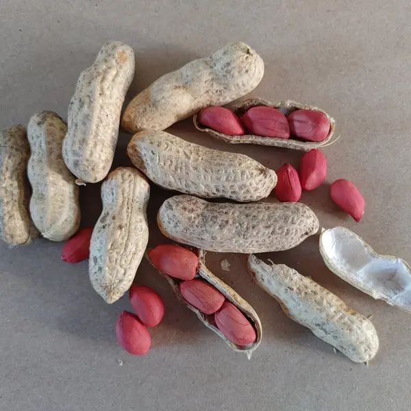 Red Skin Peanuts