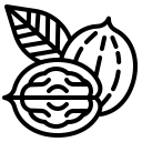 ড্রাই ফ্রুটস