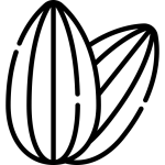বাদাম